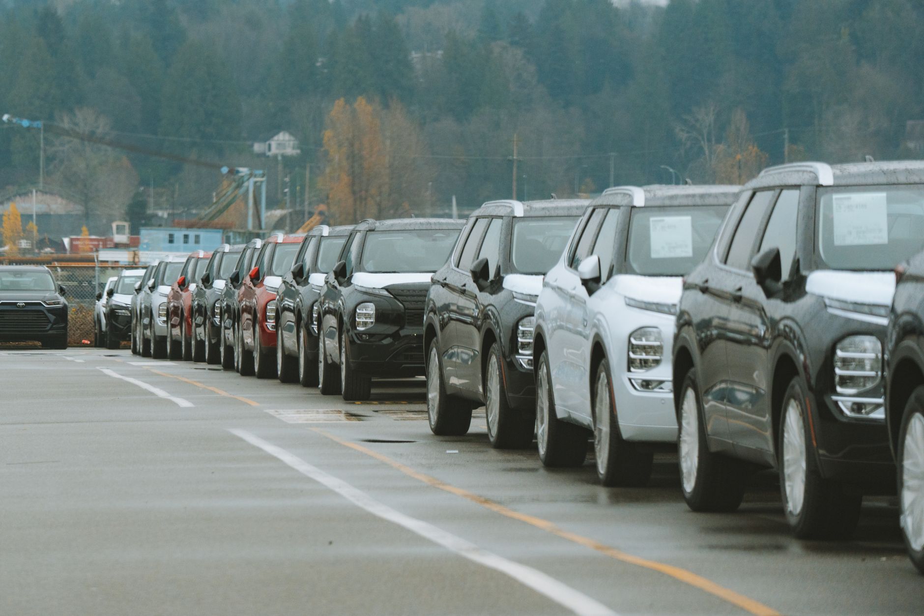 A row of used SUVs and 4WDs lined up on a dealer lot, representing Australia's shifting used-vehicle market.
