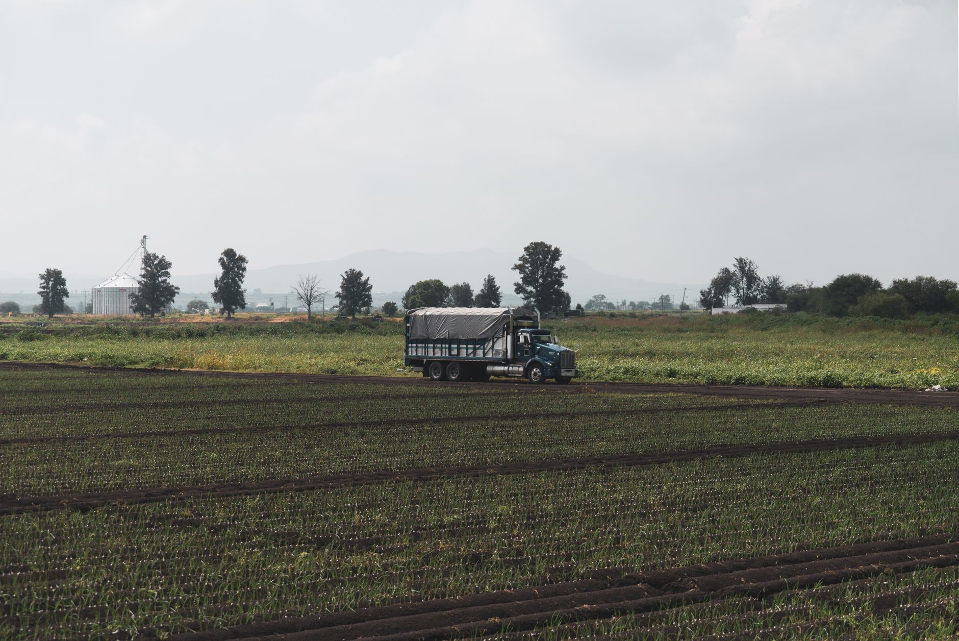 Small blue work truck parked in a green cultivated field with trees and hazy hills behind.